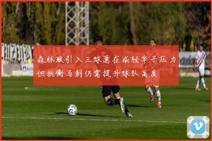 森林狼引入三球意在减轻华子压力但抗衡马刺仍需提升球队高度